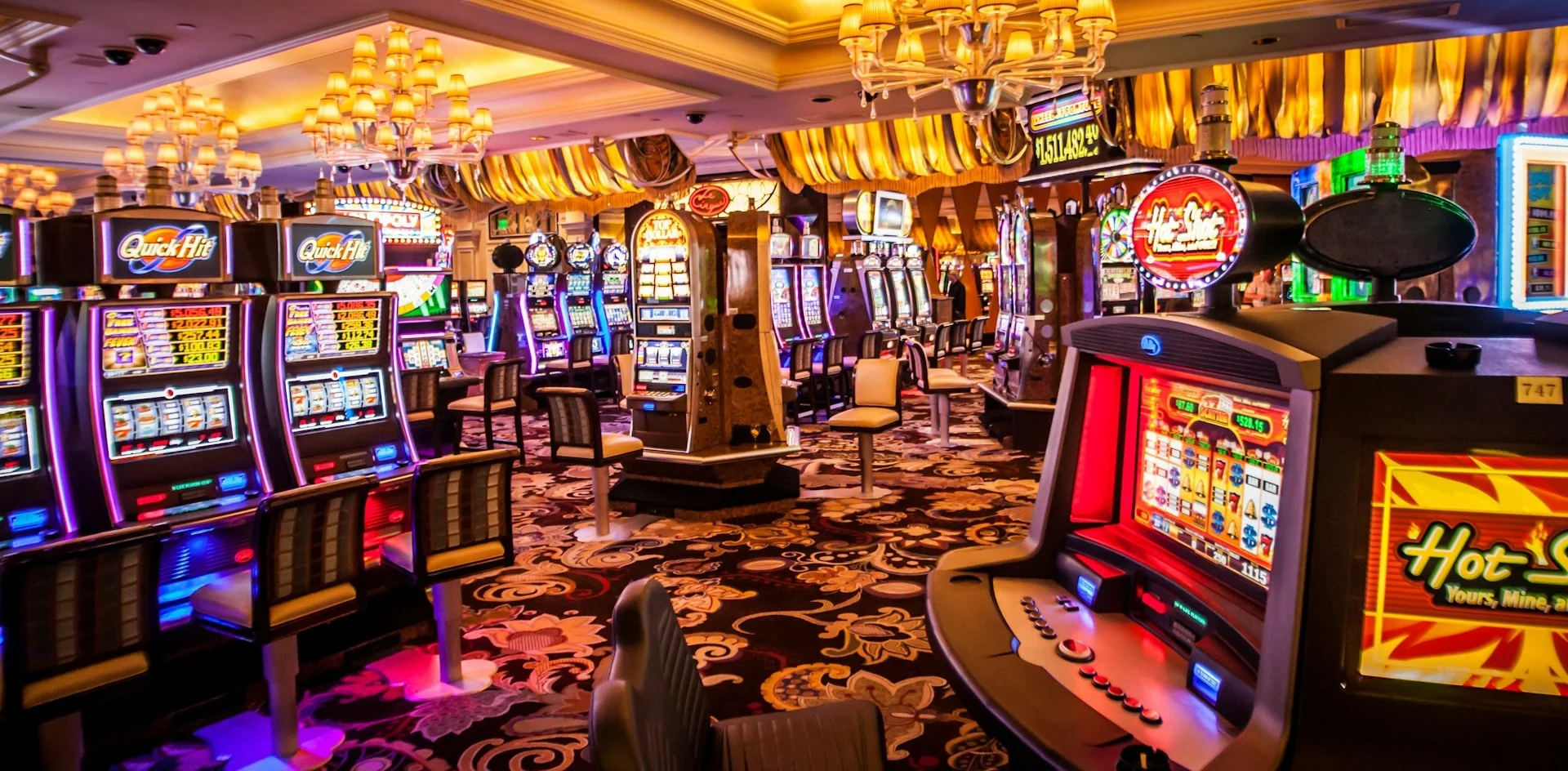 Source Kvnga-vBWsG91aR_U-Unsplash